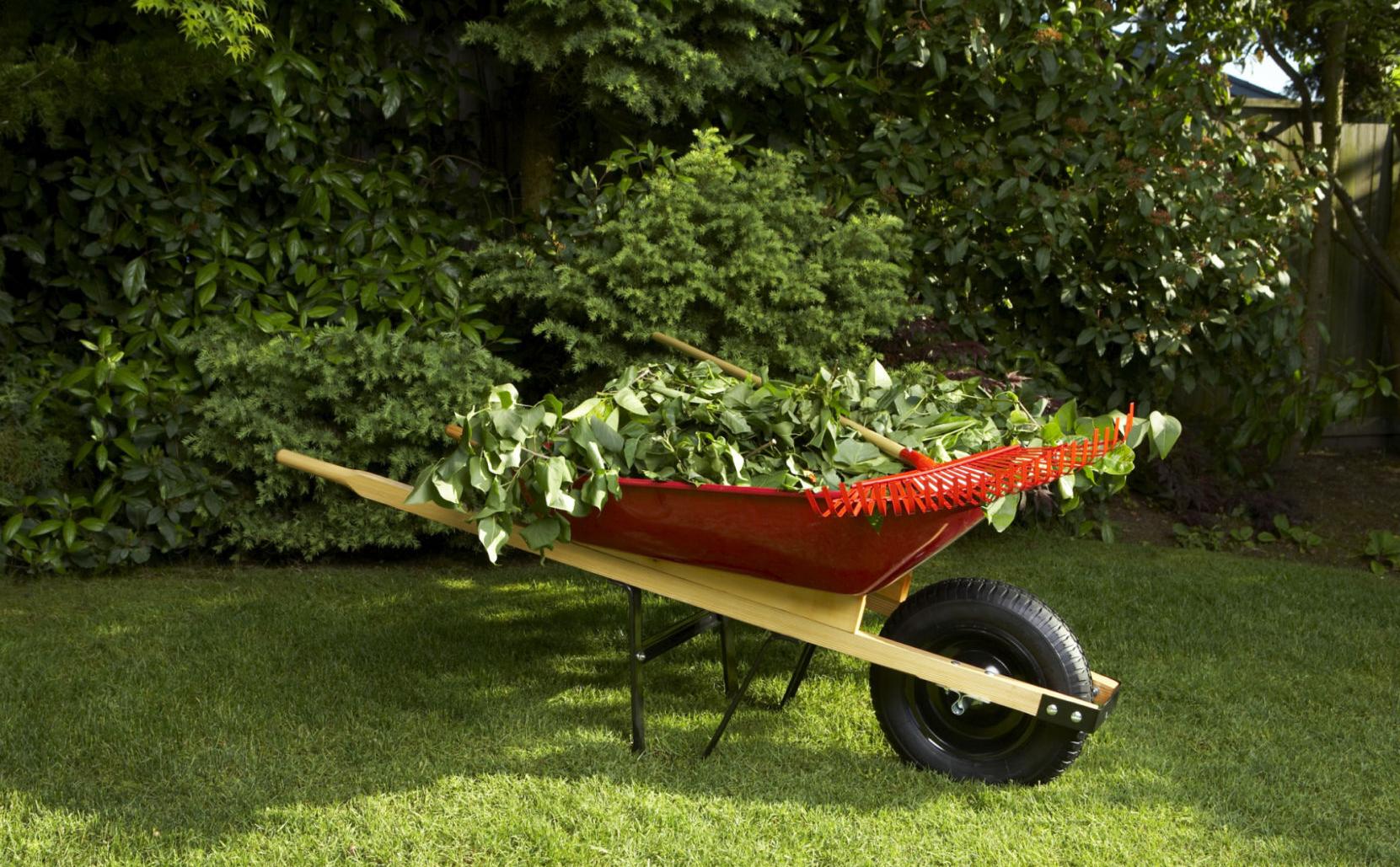 In Des Plaines, wheelbarrows with "for sale" signs may not be chained to trees.